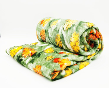 Blanket - 1182